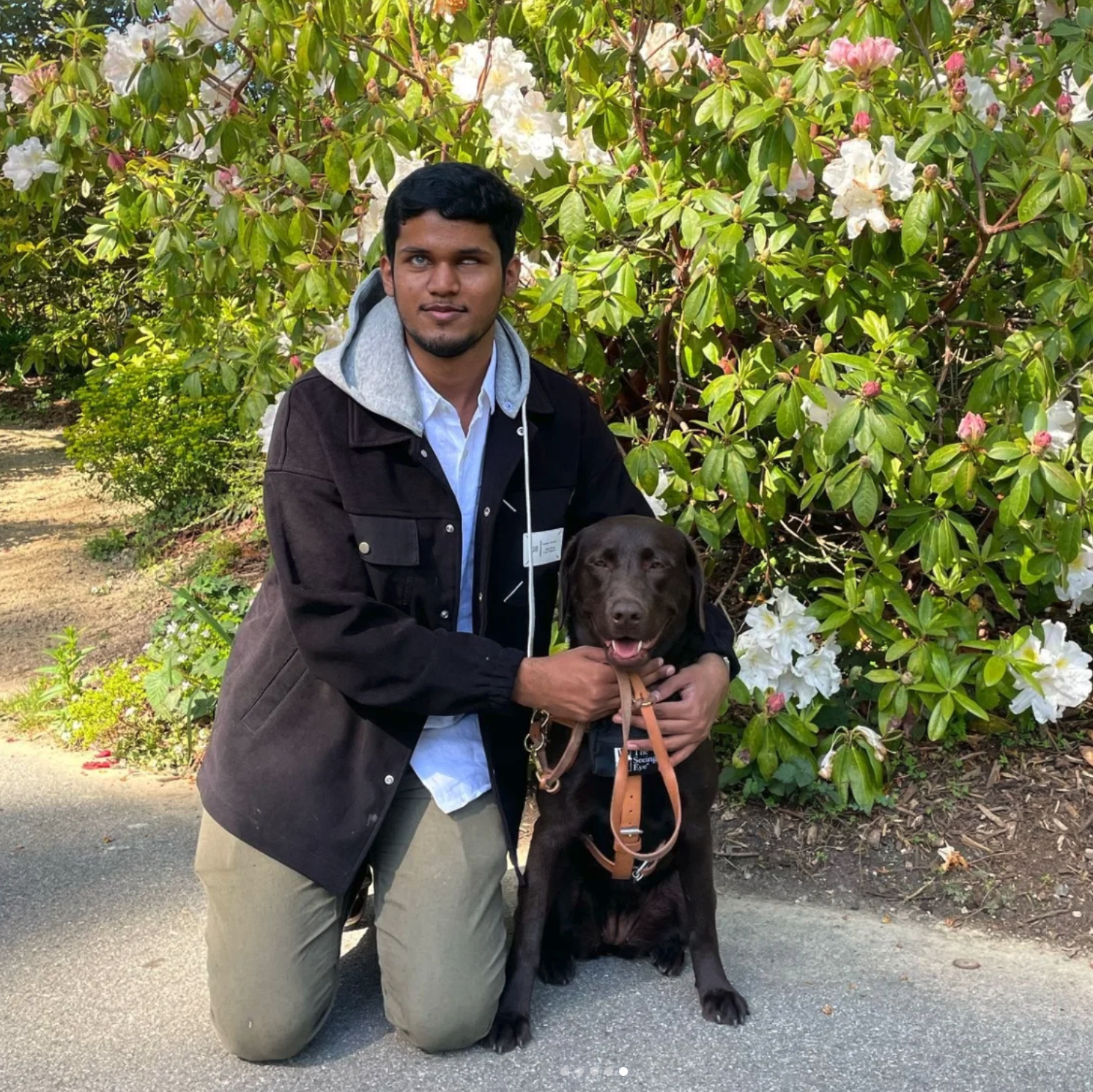 Bhavya kneels beside Diane, his chocolate labrador guide dog, amid flowering shrubs